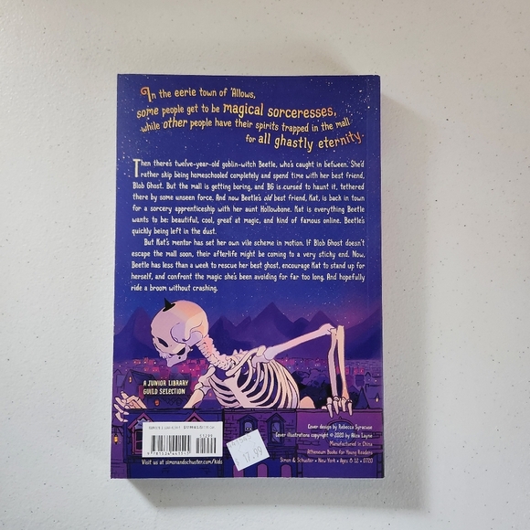 Beetle & the Hollowbones Aliza Lane YA Book Graphic Novel - Picture 2 of 3